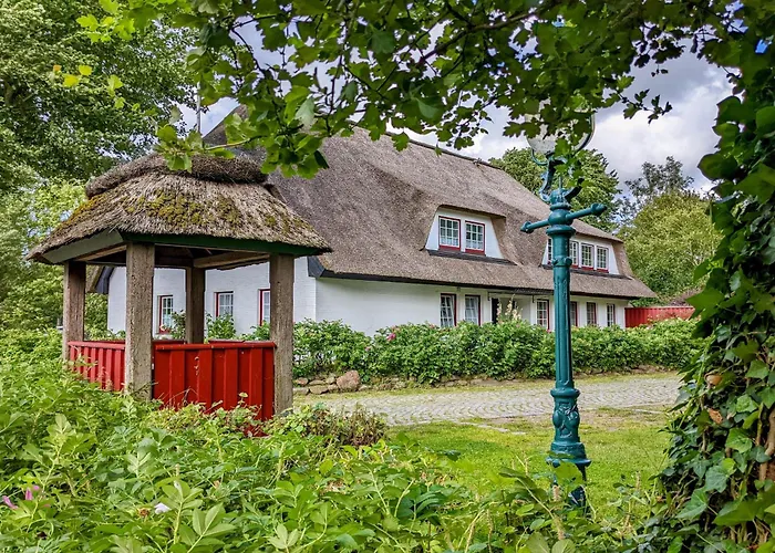 Seestern * Vollerwiek